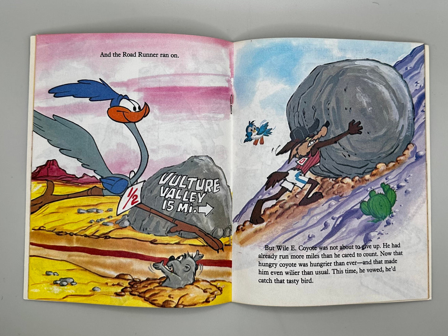 Road Runner Mid-Mesa Marathon Little Golden Book with Staple Binding Paperback Book